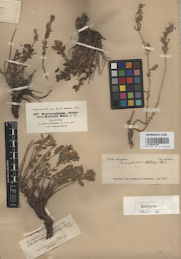 LE 00016736