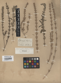 LE 00016739