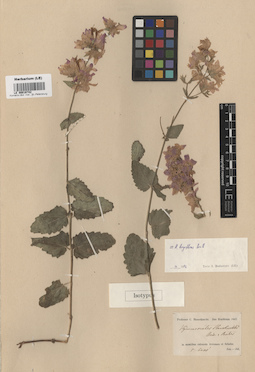 LE 00016742