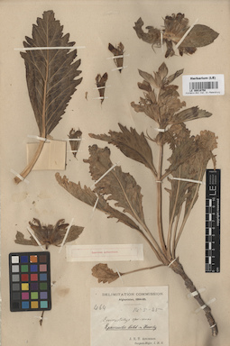 LE 00016750