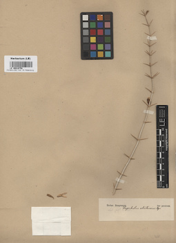 LE 00016758