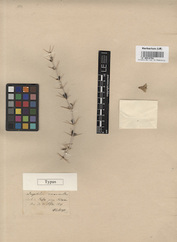 LE 00016762