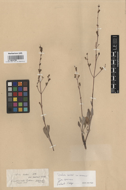 LE 00016766
