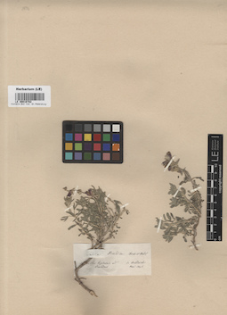 LE 00016782