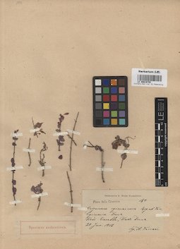 LE 00016793