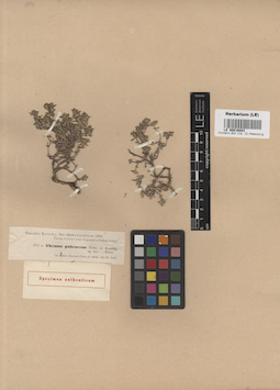 LE 00016803