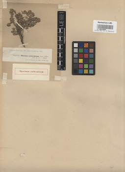 LE 00016808