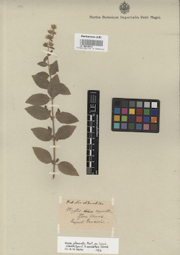 LE 00016813