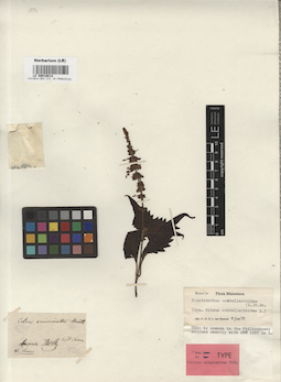 LE 00016814