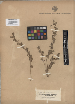 LE 00016821