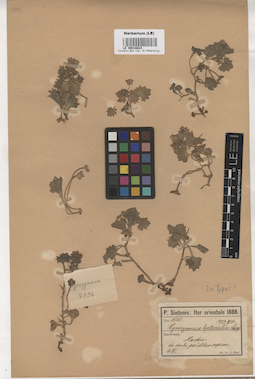 LE 00016824
