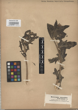 LE 00016825
