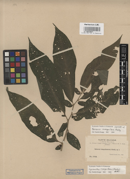 LE 00016827