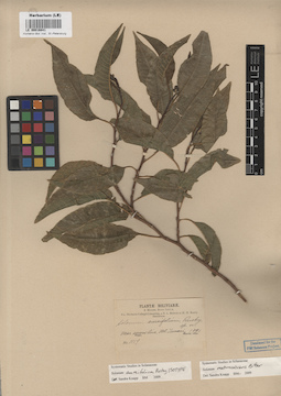 LE 00016841
