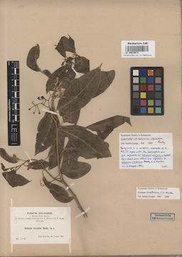 LE 00016873