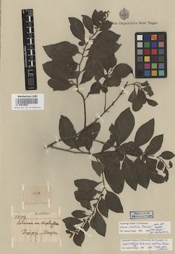 LE 00016884