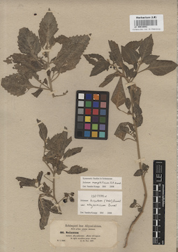 LE 00016942