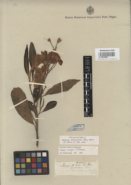 LE 00016962