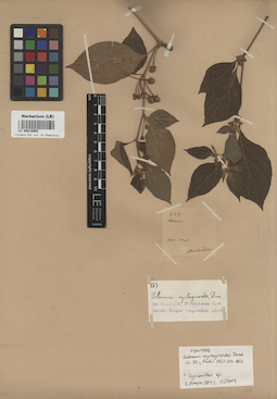 LE 00016992
