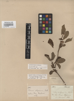 LE 00016995