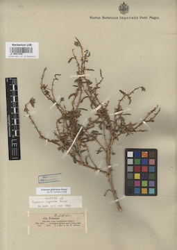 LE 00017030