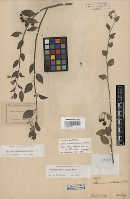 LE 00017057