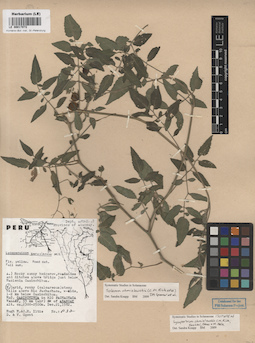 LE 00017072