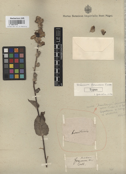 LE 00017076