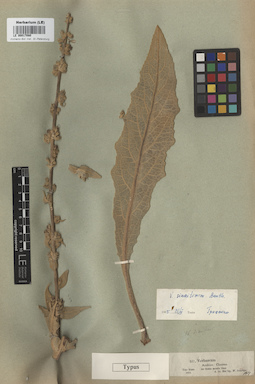 LE 00017080