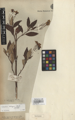 LE 00017088