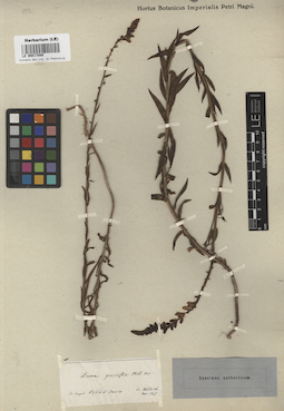 LE 00017089