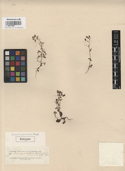 LE 00017090
