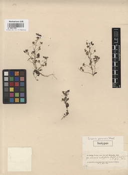 LE 00017091
