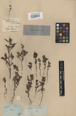 LE 00017094