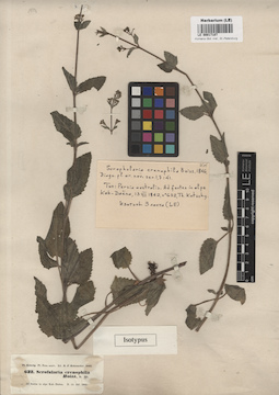 LE 00017107