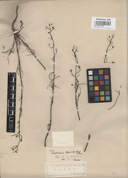 LE 00017140