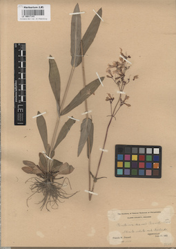 LE 00017143