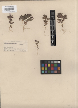 LE 00017147