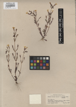 LE 00017148