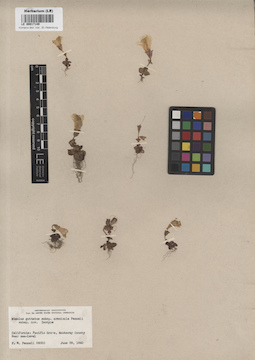 LE 00017149