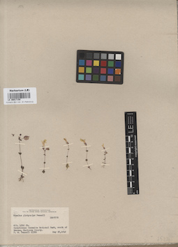 LE 00017150