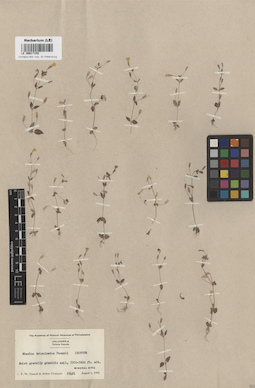 LE 00017152