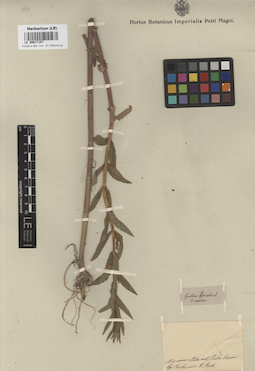 LE 00017157
