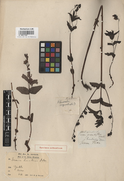 LE 00017164