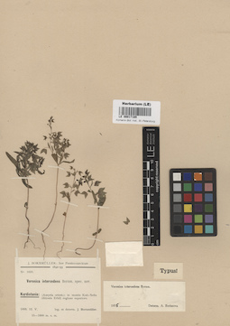 LE 00017165
