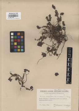 LE 00017166