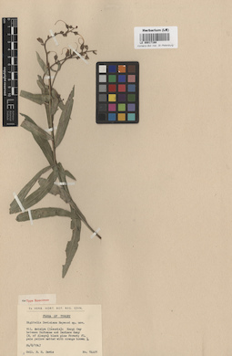 LE 00017168