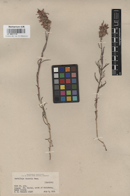 LE 00017178