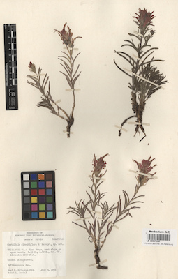 LE 00017180