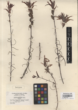 LE 00017184
